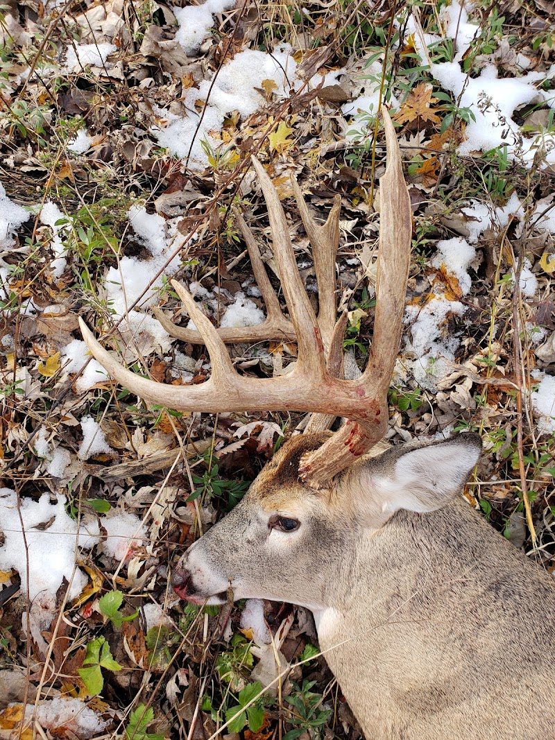 Iowa Trophy Hunts - Photo 1