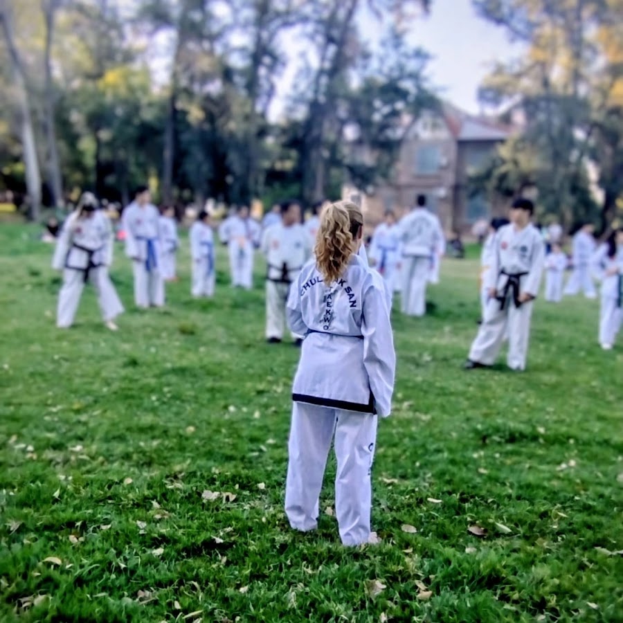 Academia Salsa One
