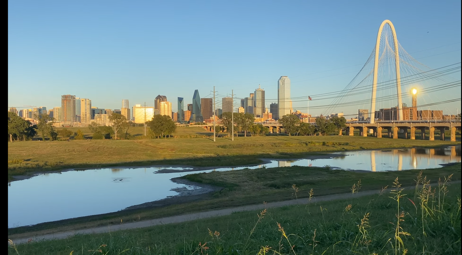 Best Pet-Friendly Hotels in Dallas, United States