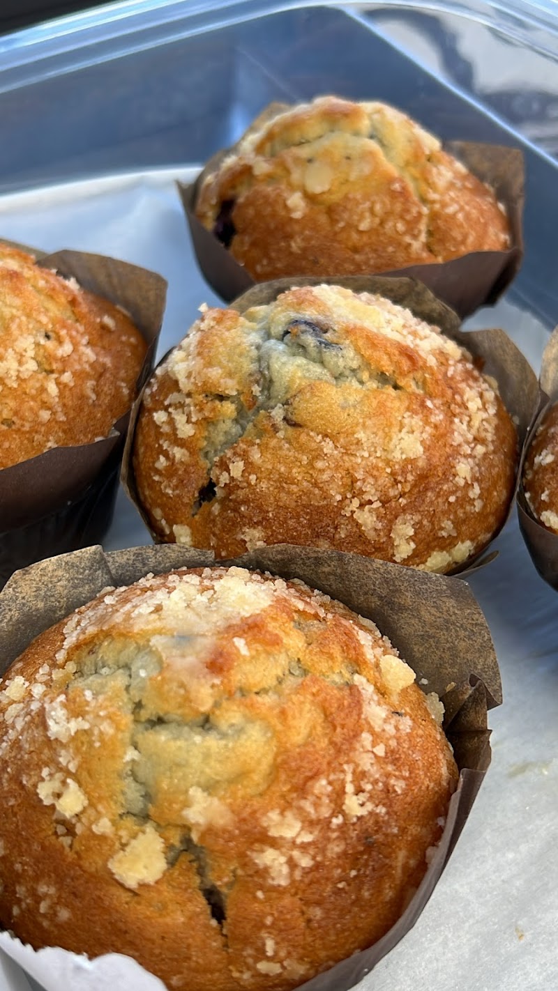 The Coffee Truck photo 2