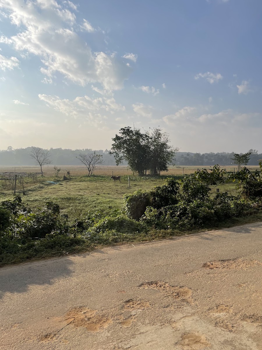 Home Town Agartala photo 3