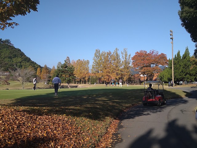 Saitama International Golf Club - Photo 10