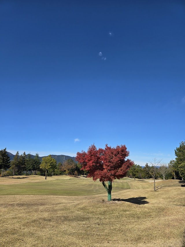 Shimonita Country Club - Photo 10