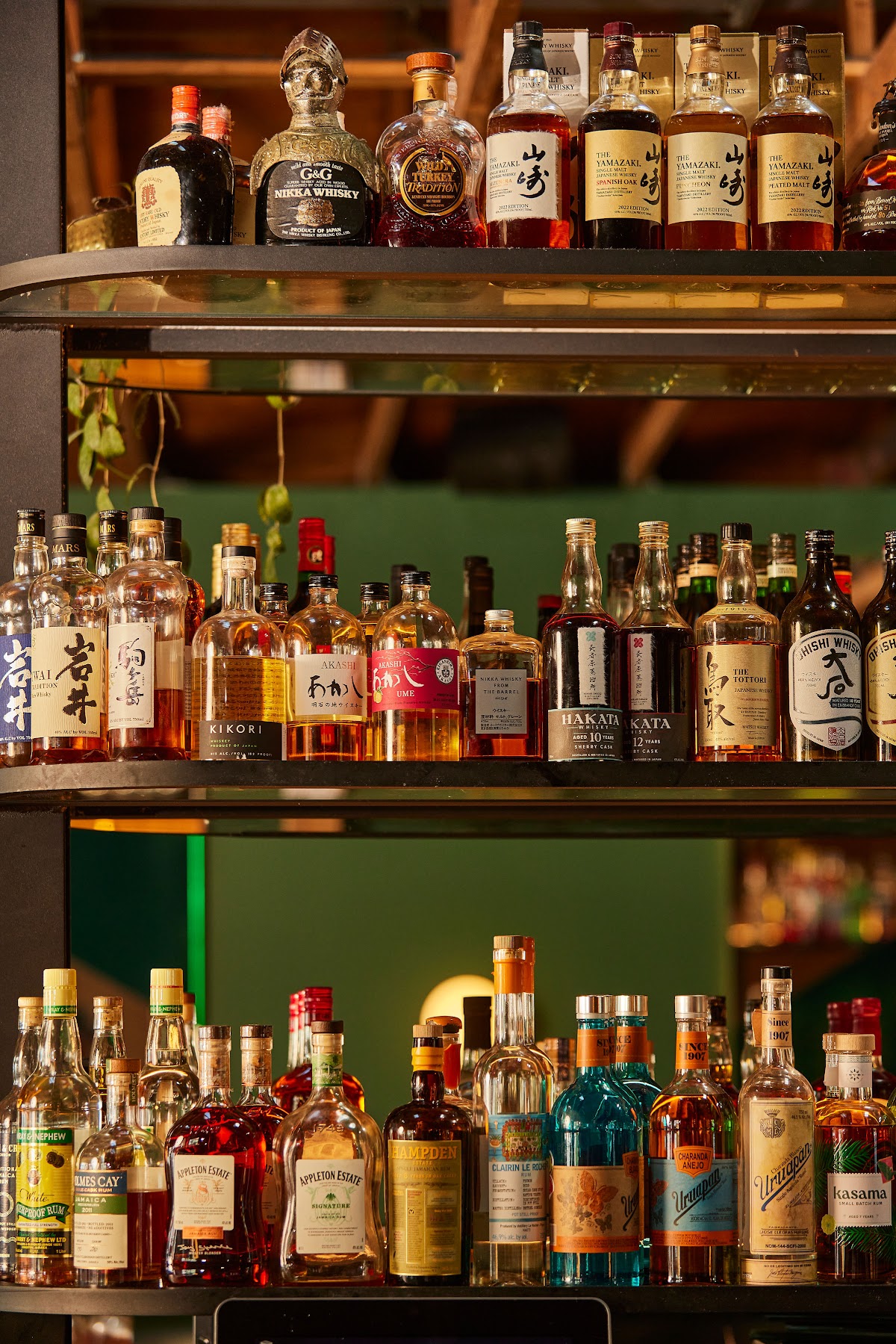 TORI TORI in orlando