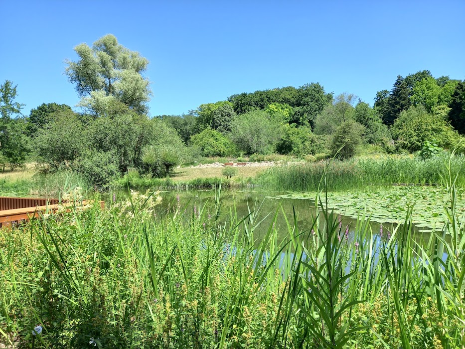 Botanischer Garten Frankfurt fotoğraf 1