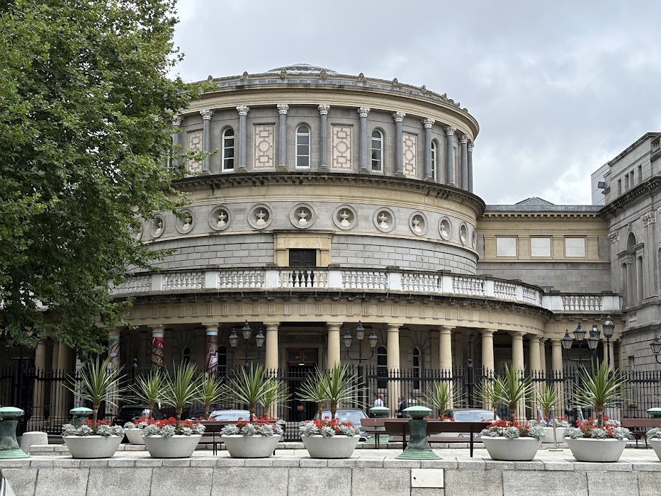 National Museum of Ireland, Kildare Street fotoğraf 1