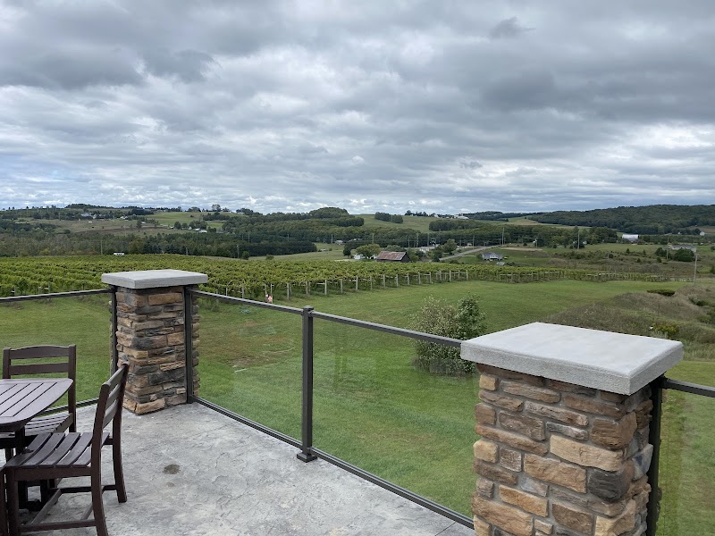 Petoskey Farms Vineyard. Winery. Coffeehouse. Lavender Farm. photo 3