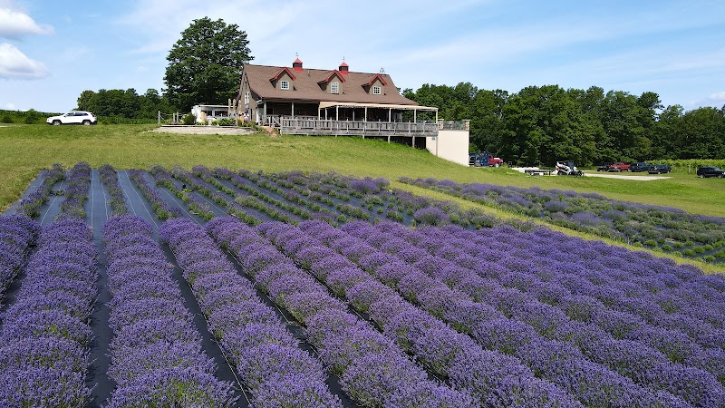 Petoskey Farms Vineyard. Winery. Coffeehouse. Lavender Farm. photo 1