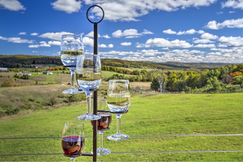 Petoskey Farms Vineyard. Winery. Coffeehouse. Lavender Farm. photo 2