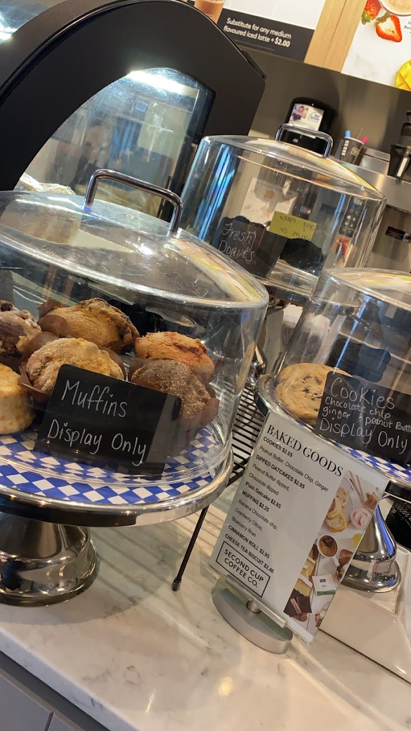 Second Cup Café photo 4