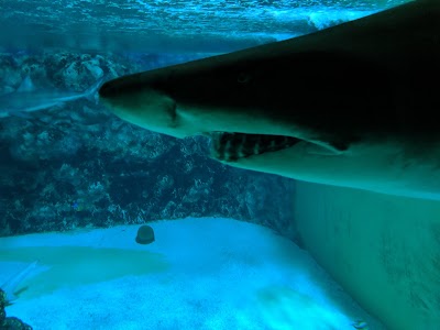 Erlebnispark Meeresaquarium GmbH