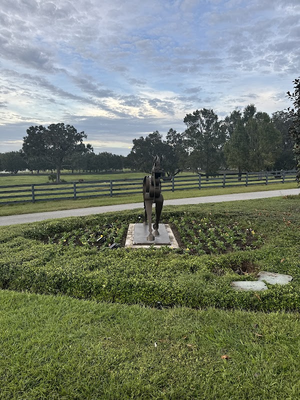 Central Florida Landscapes & Management, LLC project 2