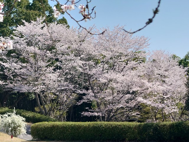Akasaka Country Club - Photo 5