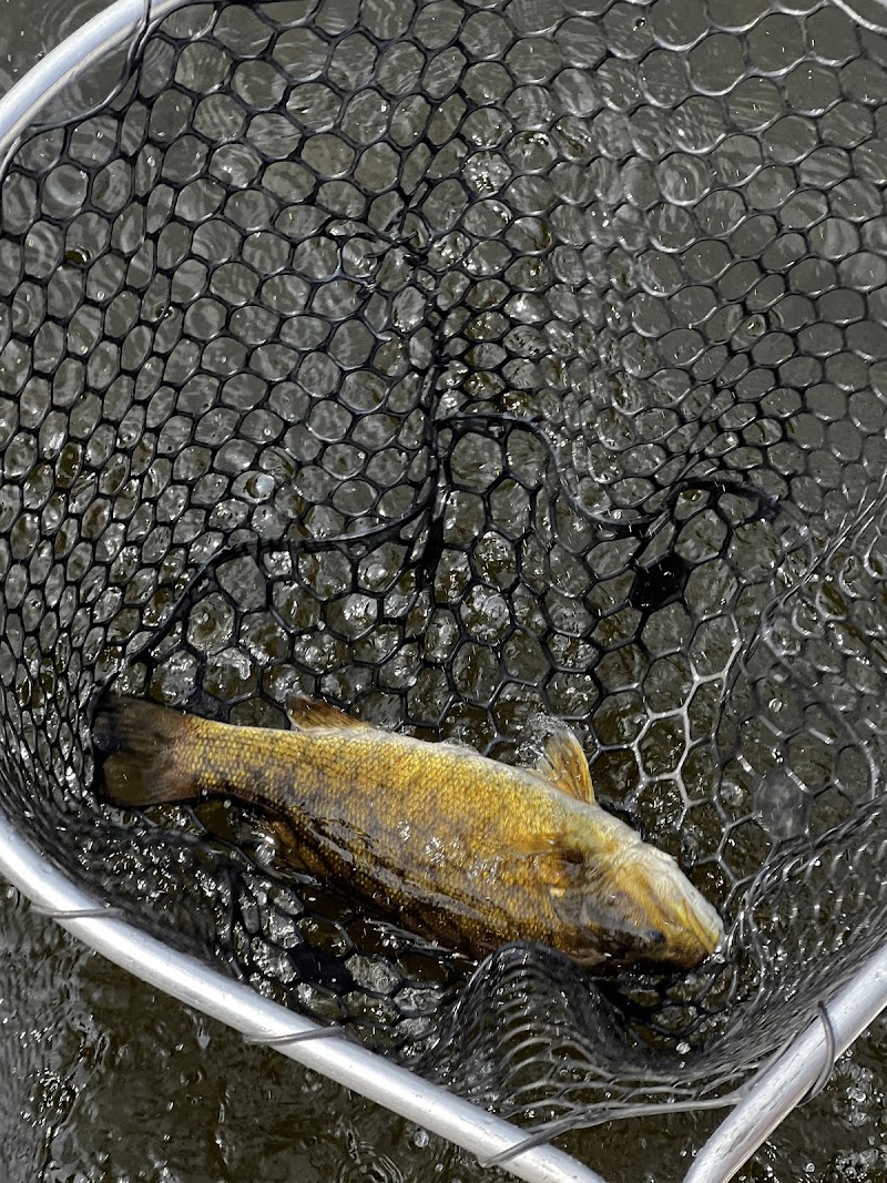 Hilltown Anglers and Western Mass Guide Service - Photo 2