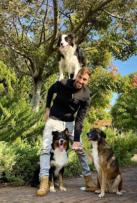 גיל ג'רסי - אילוף כלבים וכלבנות טיפולית