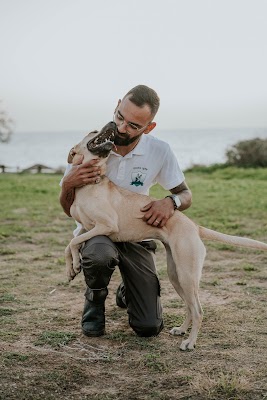 דוג מאסטר - דני אשכנזי מאלף כלבים