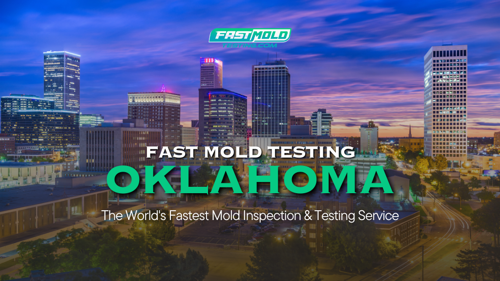Fast Mold Testing - Oklahoma City — photo