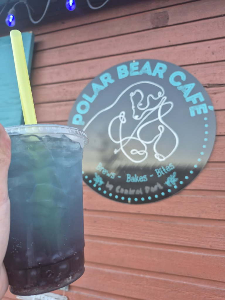 Polar Bear Cafe photo 3