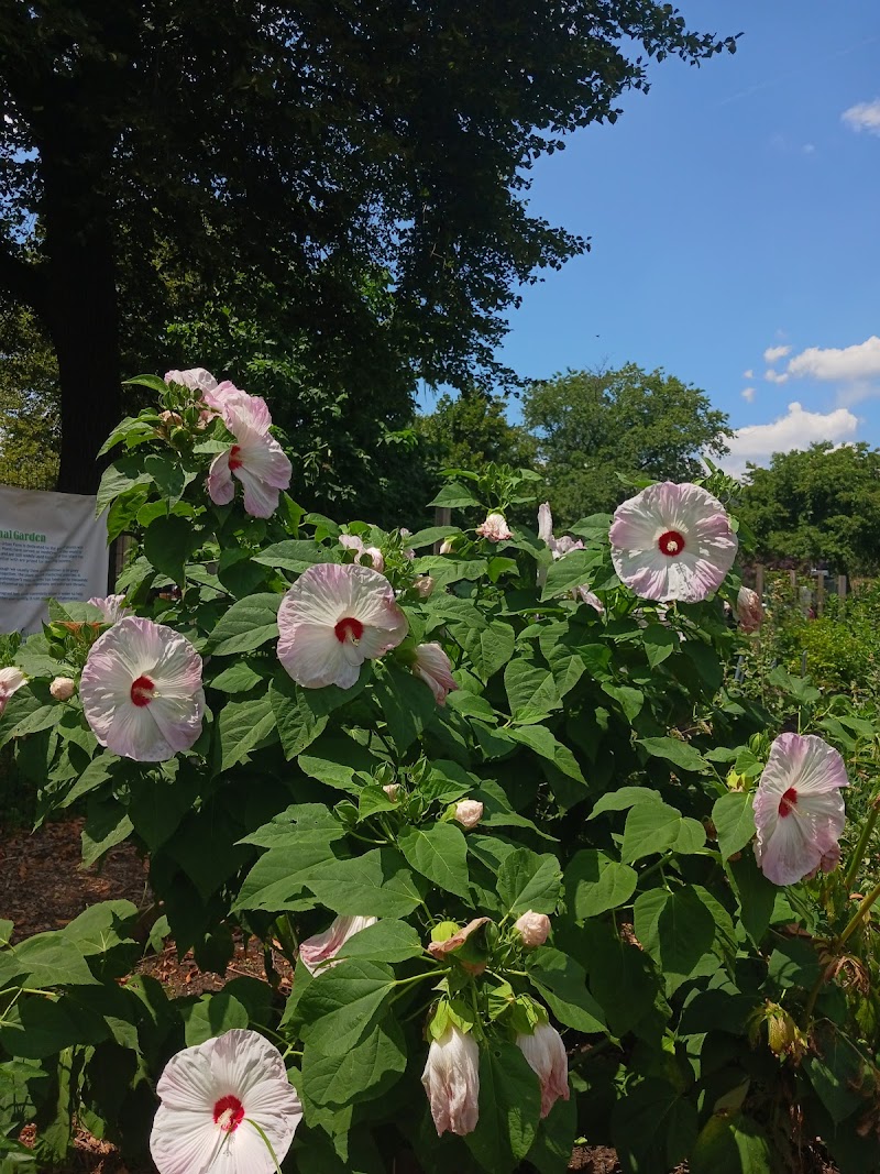 Randall's Island Urban Farm - Photo 4