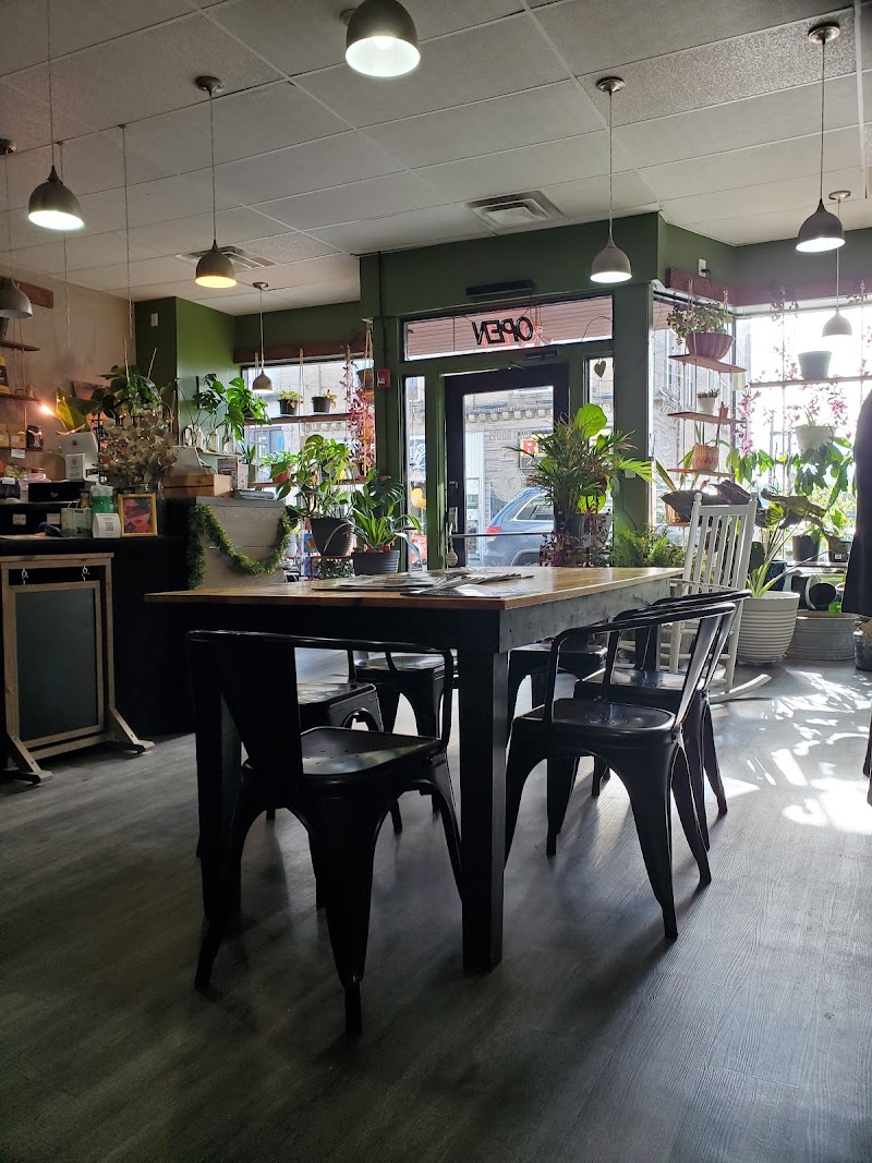 WILD ROOTS coffeehouse photo 4