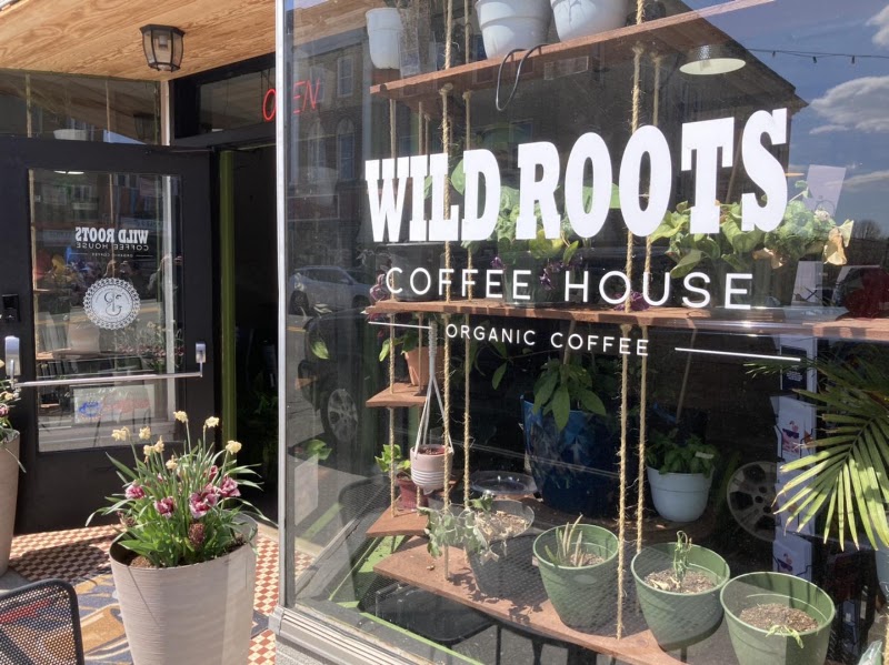 WILD ROOTS coffeehouse photo 1