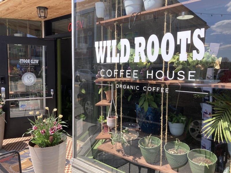 WILD ROOTS coffeehouse photo 1