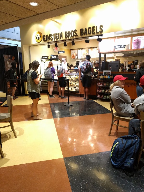 Photo by Melani Babi