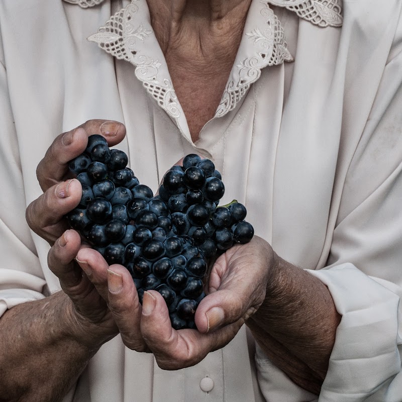 Bodega y Viñedos GAMBA