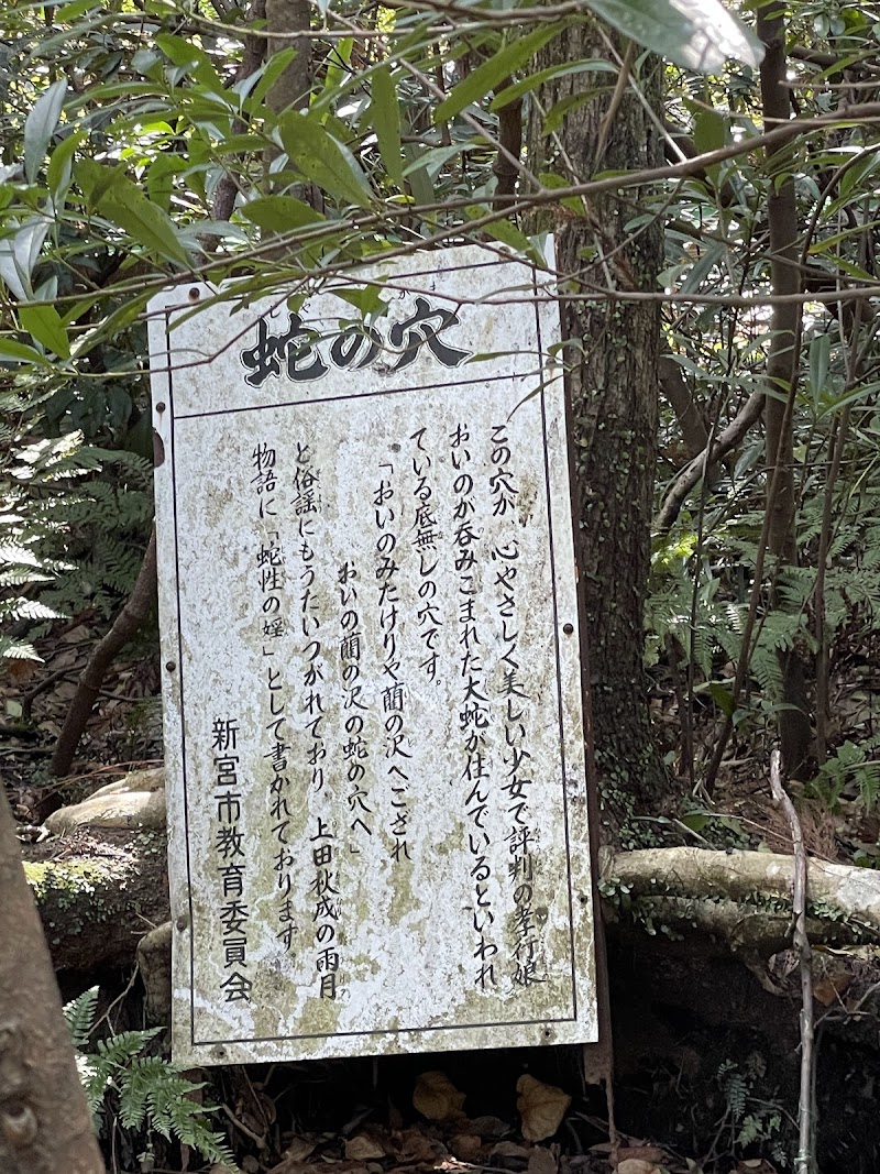 新宮市立浮島の森公園（浮島公園）
