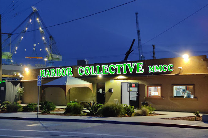 Video tour of Harbor Collective Weed Cannabis Dispensary retail environment