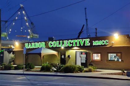 Harbor Collective dispensary photo