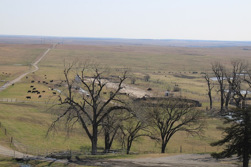 Drummond Land & Cattle - Photo 2
