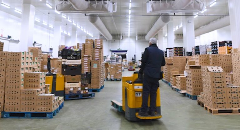 Froiz, plataforma de frutas y verduras photo 4