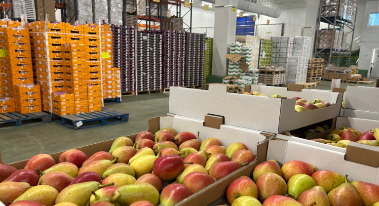 Froiz, plataforma de frutas y verduras photo 3