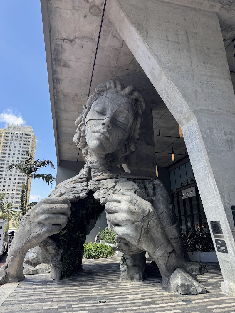 Pura Vida Miami photo 4