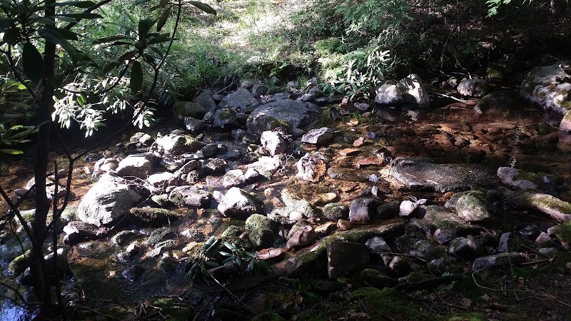 Hickory Run Disc Golf Course photo 3