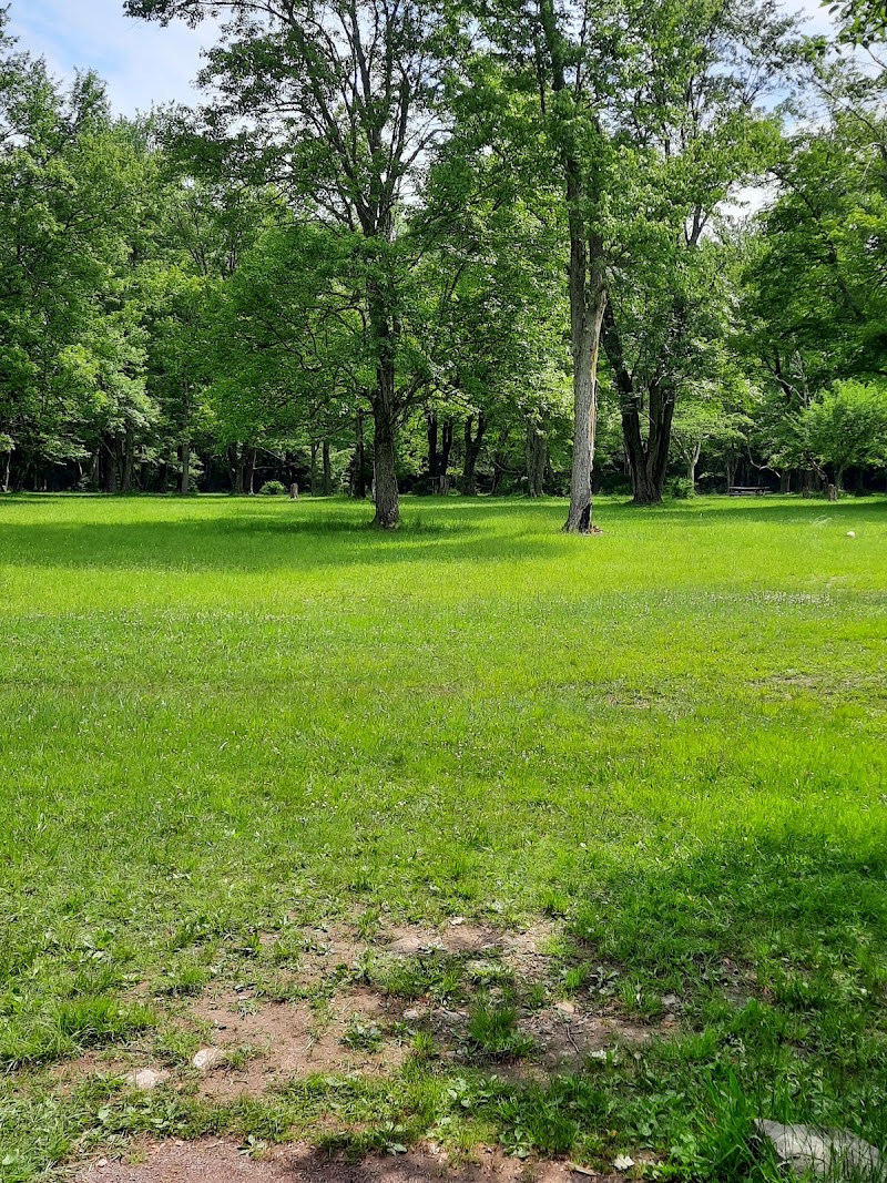Hickory Run Disc Golf Course photo 2