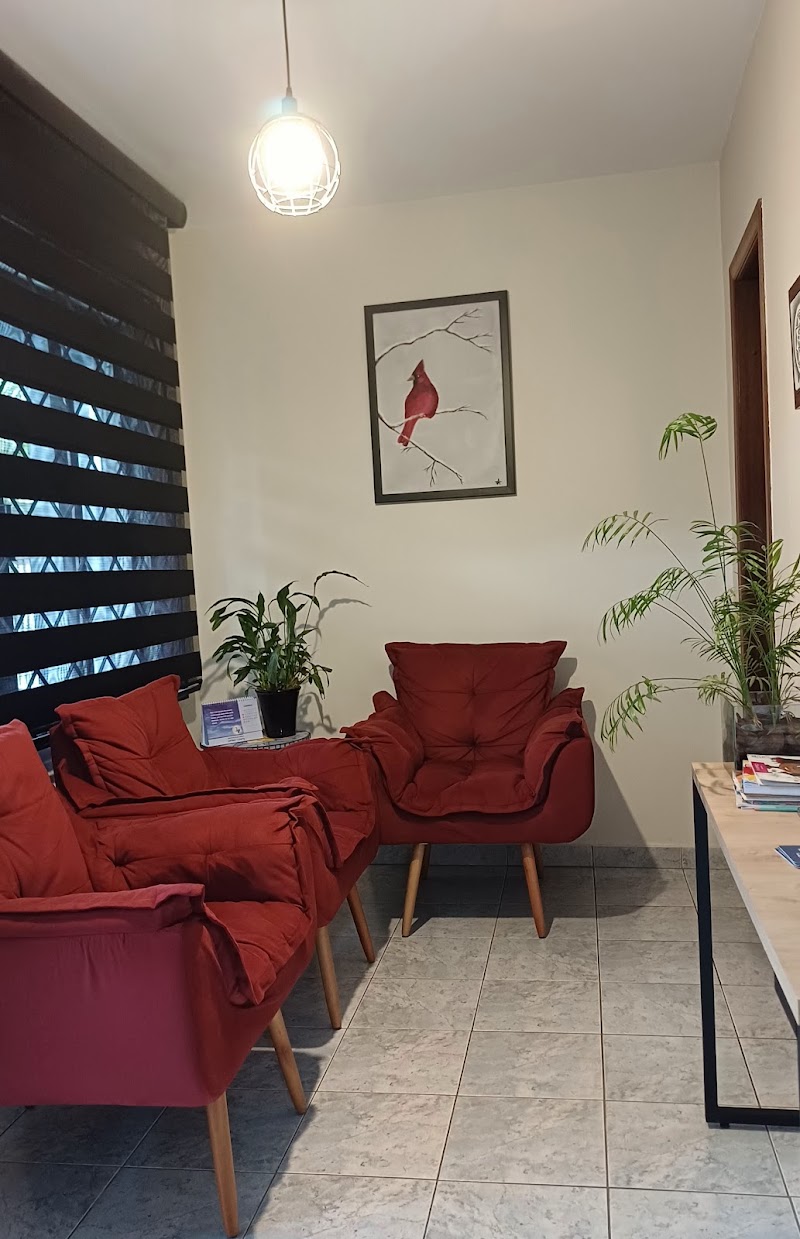 Odontologia Curitiba - Dra Priscila Albini - foto 3