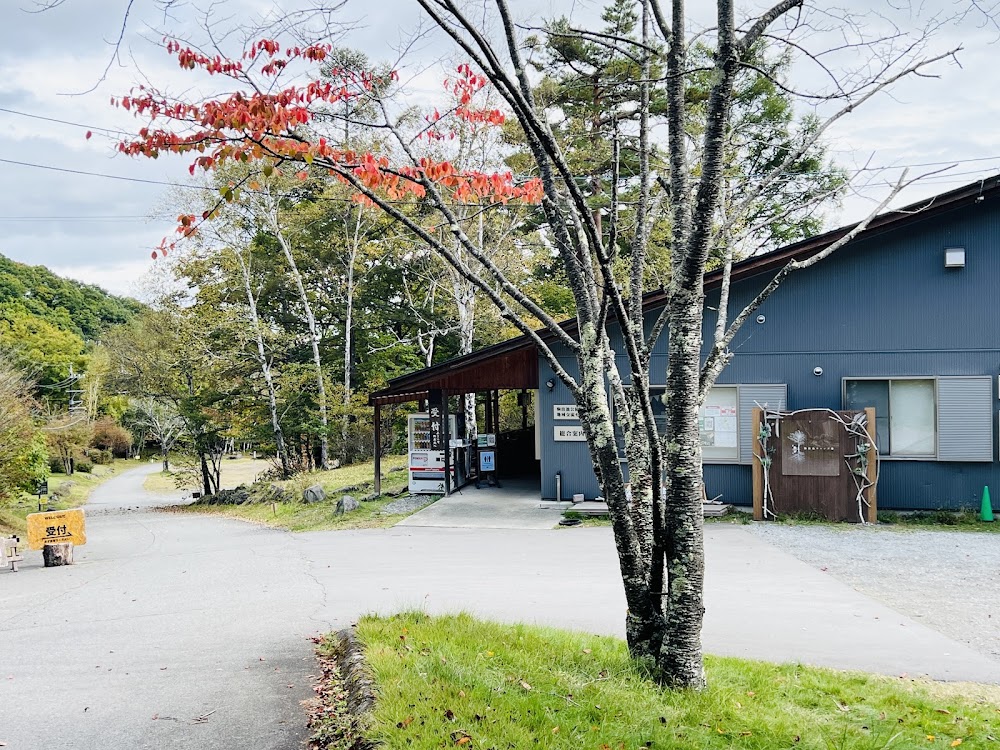 駒出池キャンプ場
