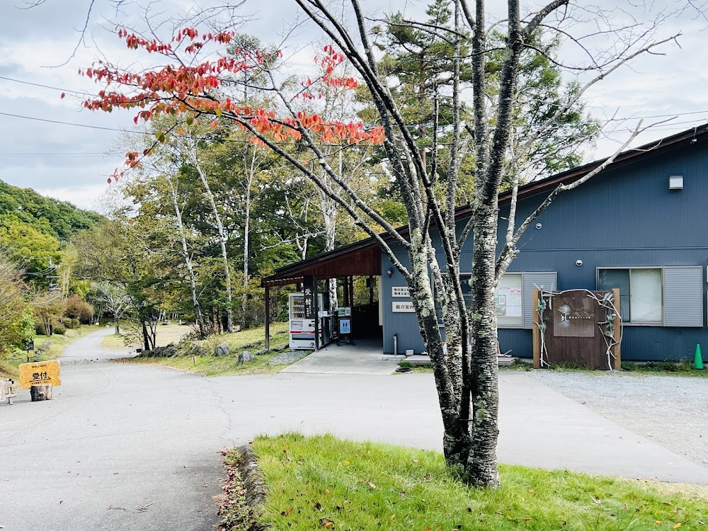 駒出池キャンプ場