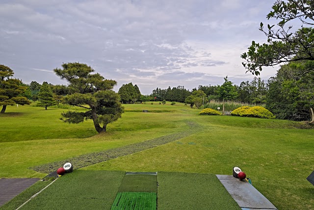 Dynamic Golf Mobara - Photo 3