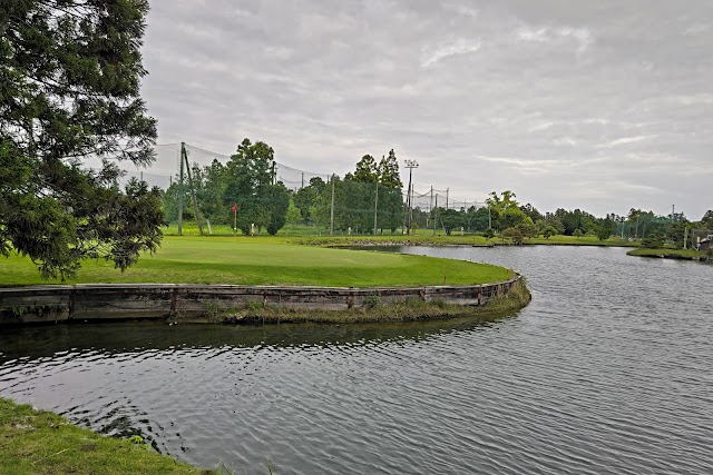 Dynamic Golf Mobara - Photo 2