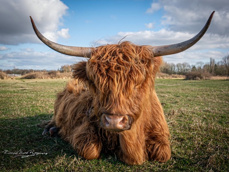 Boerderij Lentevreugd