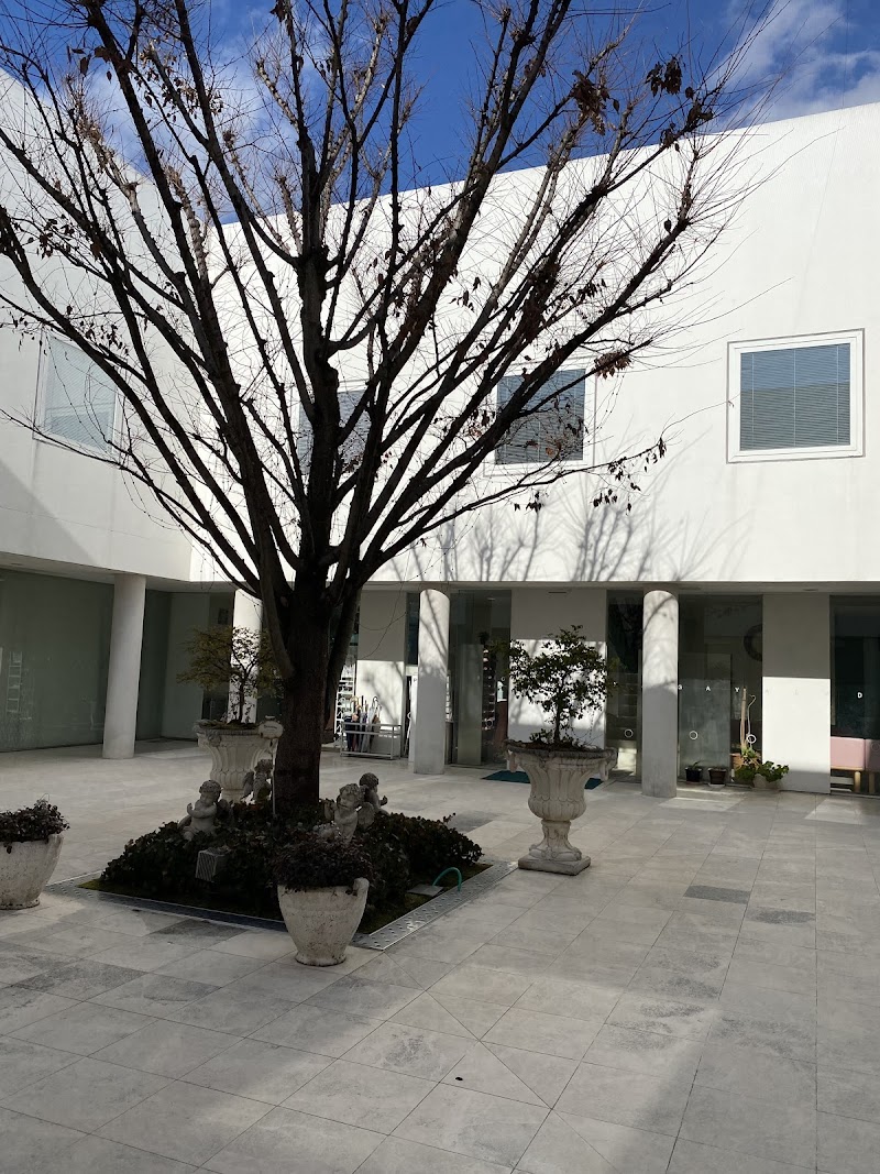 陽子 レディースクリニックの外観