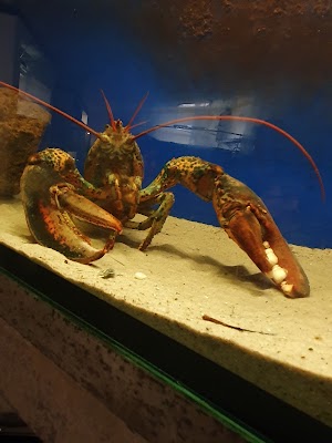 Meeresbiologische Station Laboe