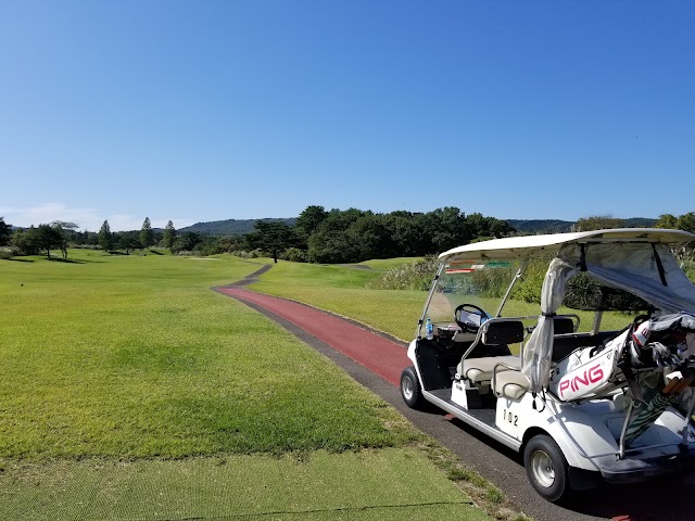 Yakurai Size Golf Club - Photo 8