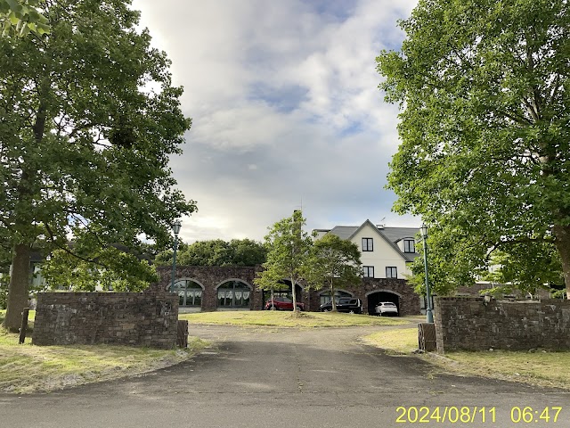 Yakurai Size Golf Club - Photo 10