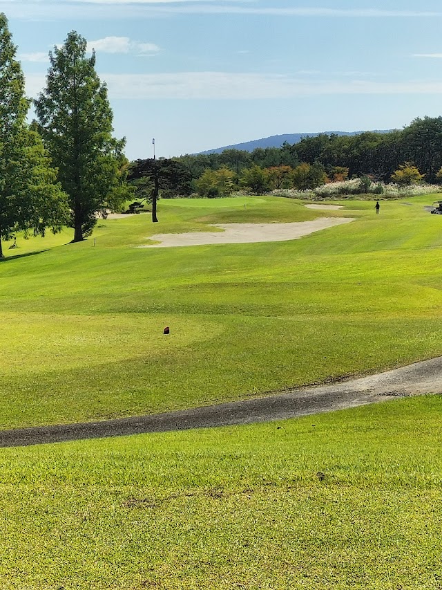 Yakurai Size Golf Club - Photo 1