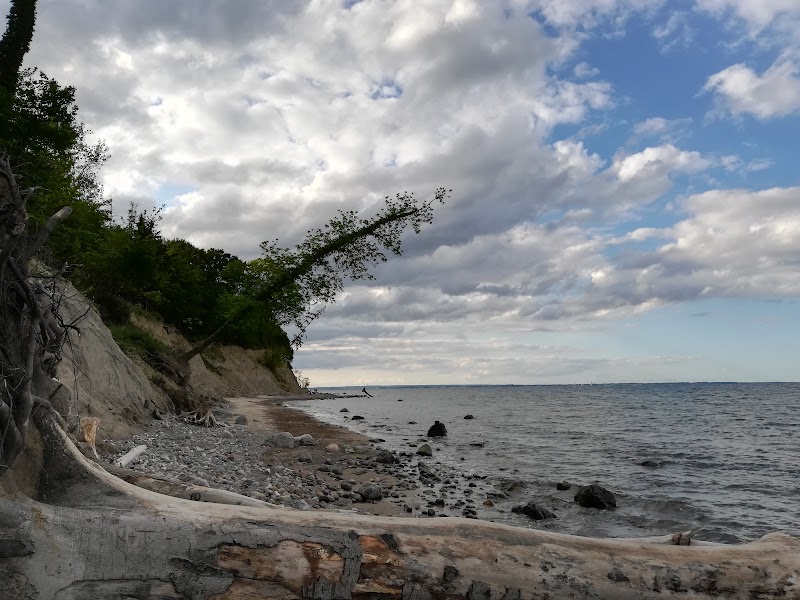 Бродтенер Штайлуфер