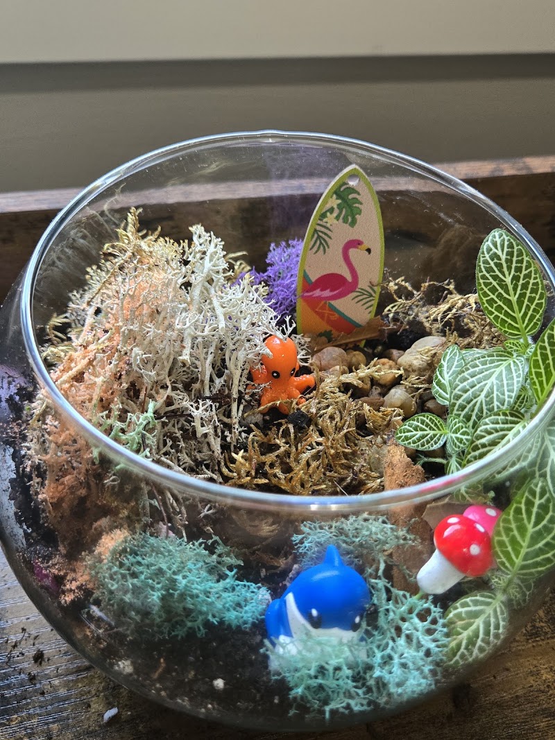 GROW Plant Bar photo 3